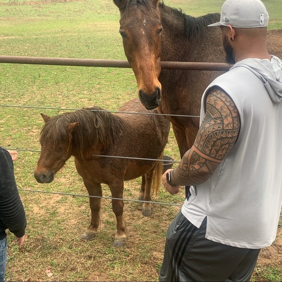 Meet your Posher, Chino - Picture 1 of 1